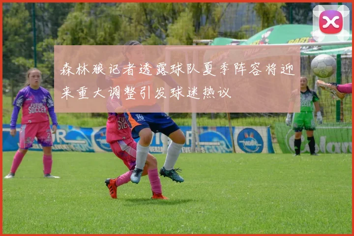 森林狼记者透露球队夏季阵容将迎来重大调整引发球迷热议